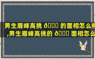 男生眉峰高挑 🐕 的面相怎么样,男生眉峰高挑的 🍀 面相怎么样好看吗